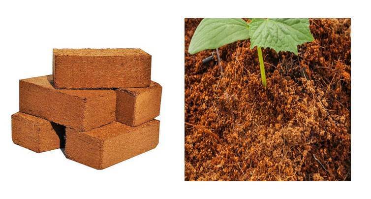 Cocopeat