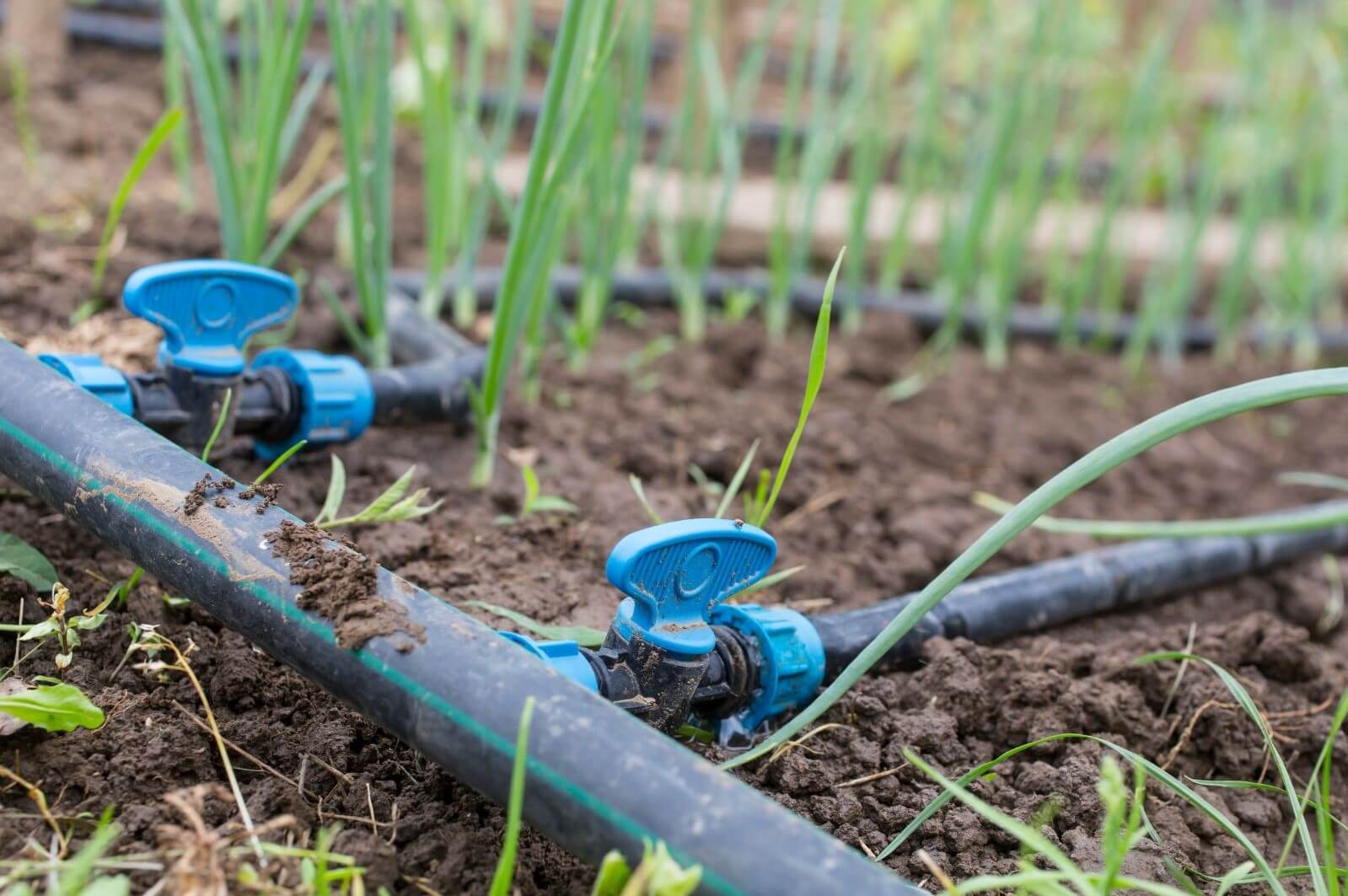 Components Drip Irrigation