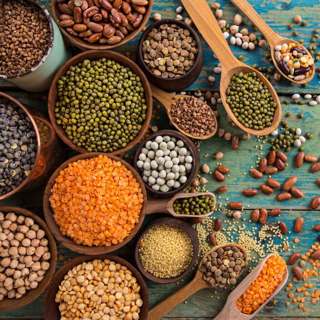 Pulses & Grains